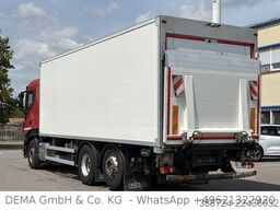 IVECO Stralis*AHK*LBW*Liftachse*Klima*Rolltor*Kühlbox*