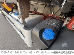 IVECO Stralis*AHK*LBW*Liftachse*Klima*Rolltor*Kühlbox*