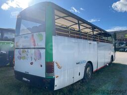 Mercedes-Benz OLIMPIA