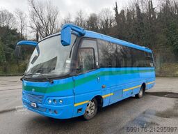 Salvador Caetano Optimo