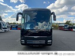 MAN R09 Lion?s Coach C/516/Travego/Tourismo