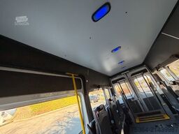 FIAT Ducato 3.0 CNG/Erdgas 9 Sitze Schiebetür Klima