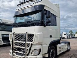 DAF 460, Retarder, Bullfänger, Limited Edition