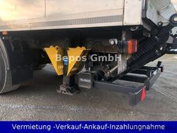 Ott Fz-Bau -Tandem-Durchlader-LBW-Palfinger 2t