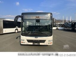 MAN A 20 Lion?s City Ue / Klima / O 530 Citaro