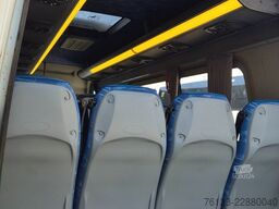 MERCEDES-BENZ Sprinter 516, Daily, Crafter