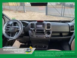 DREAMER Select D68 Saphir