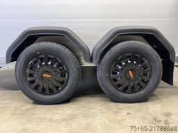 Böckmann Champion Esprit SK Pferdeanhänger