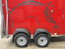 Böckmann Master 21 WCF MPT Sonder Pferdeanhänger