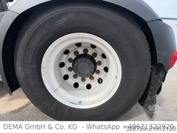 DAF XF 480 FT*Euro6d*Retarder*Standklima*Kühlbox*TÜV