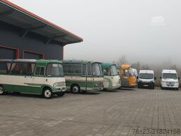 MERCEDES-BENZ 311 Sprinter 9 Sitzer auf Wunsch VIP Sitze