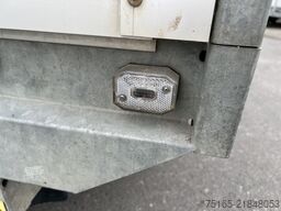 Saris PKC30 Gitter Rückwärtskipper