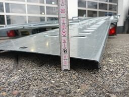 Saris AT 471x202cm ankippbarer Transporter 3 t