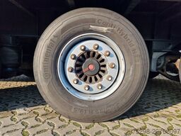 Stern SP270 / Staplerhalt./Aluklappen/Lenkachse