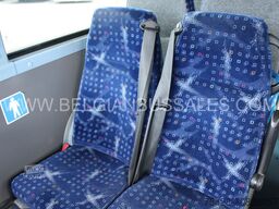 Iveco Crossway LE / 12.8m / Automaat / 3 Point Seatbe...