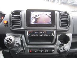 Fiat Minibus 16+ 1 Sitzer