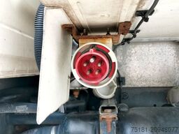 IVECO Daily 72C17 AT/ TIEFKÜHLER/ 11 PAL/380V/ LBW