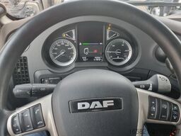DAF XF 480 SC PXP, 4x4, AUT, MX-Brake, Prod 8.2020