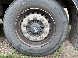 ORTHAUS SEMIRIMORCHIO