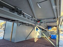 Mercedes-Benz Travego