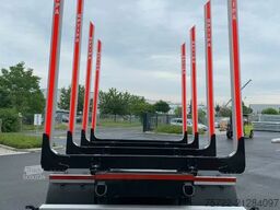 PAVIC THTA 19 44Z/NEU/1.ACHSE ALS LIFTACHSE THTA 19 4...