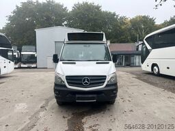 MERCEDES-BENZ 516 Sprinter City HNDF
