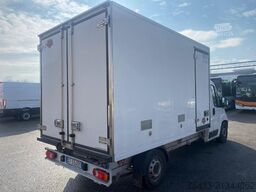 Fiat DUCATO Isotermico con gruppo frigorifero