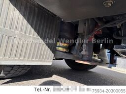 MERCEDES-BENZ Vario 818D Diffsperre/Klima/Standh/Luftfed Euro4