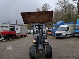 Giant V 452 XTRA org1154Std GEW.2400 kg Bj2016 T