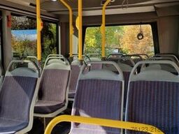 MERCEDES-BENZ Frontniederflur Sprinter 515/517  Daily