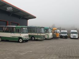 MERCEDES-BENZ Frontniederflur Sprinter 515/517  Daily