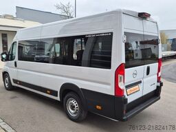 Opel Movano Bürgerbus Lagerfahrzeug Stock