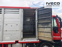 IVECO ML150E32/FPEVI_D