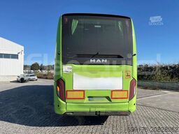 MAN Lion's Coach