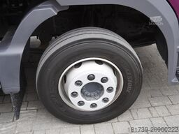 Mercedes-Benz Atego 1224 / New galvanized tow truck