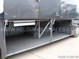 Van Hool T915 Acron / Tourismo / 12.2m / DAF / Full Option