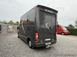 Opel Movano | HORSETRUCK | ROELOFSEN | STALLION 3XL ...