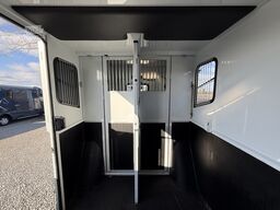 Renault Master PAARDENWAGEN | HORSETRUCK | MTM | STALLI...