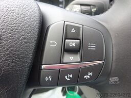 FORD Transit Kasten 350 L3H2 4x4 Trail iACC Kam Xenon