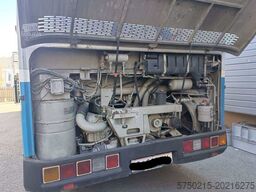 ÖAF Gräf & Stift GSXH 360 M 10 (Sonderkraftfahrzeug)