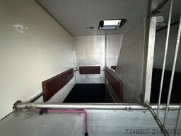 Renault Master PAARDENWAGEN | HORSETRUCK | MVV | CLASSI...