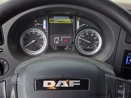 DAF LF 230