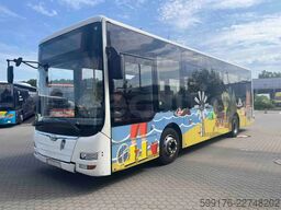 Man Lion's City