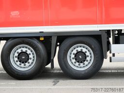 SCHMITZ CARGOBULL SKO 18 /CITY/LBW 2000 kg /CARRIER HE 19/LENKACHS