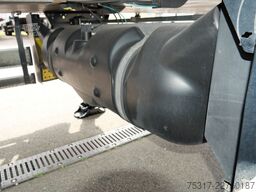 SCHMITZ CARGOBULL SKO 18 /CITY/LBW 2000 kg /CARRIER HE 19/LENKACHS