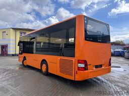 MAN A 66 Midi City K L: 8.8 m B 2.4 m KLIMA EURO 6