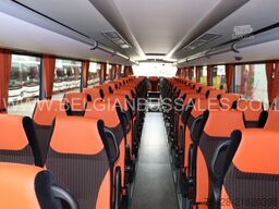 Iveco Evadys 13m / Rear door / NEW!!