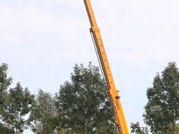Dieci ZEUS 40.13 | HYDR. FORKS | DUTCH REG | LOW HOURS