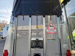 HUMBAUR Pegasus Style 2-Pferdeanhänger 2,4t Neu Vollpoly