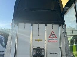 HUMBAUR Pegasus 2 Pferdeanhänger 2,4t Neu ALU